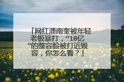 网红潘南奎被年轻老板暴打，“10亿”的整容脸被打近毁容，你怎么看？