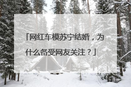 网红车模苏宁结婚，为什么备受网友关注？