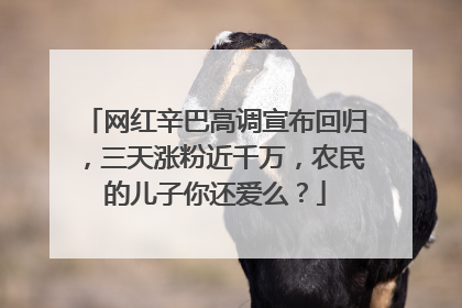 网红辛巴高调宣布回归，三天涨粉近千万，农民的儿子你还爱么？