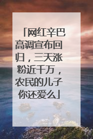 网红辛巴高调宣布回归，三天涨粉近千万，农民的儿子你还爱么