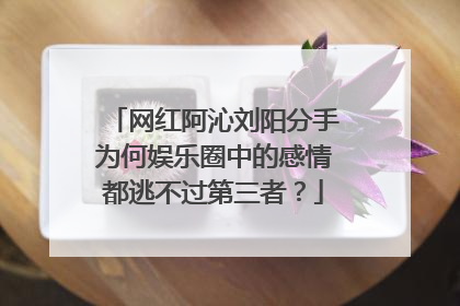 网红阿沁刘阳分手为何娱乐圈中的感情都逃不过第三者?