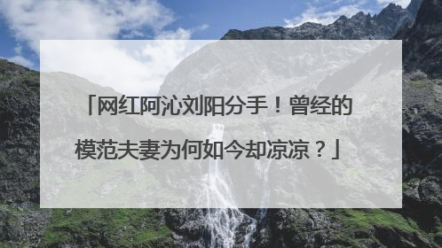 网红阿沁刘阳分手！曾经的模范夫妻为何如今却凉凉？