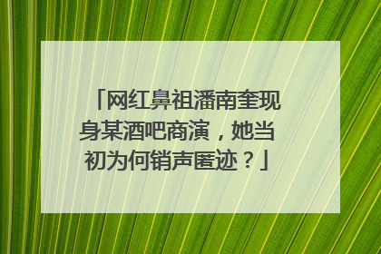网红鼻祖潘南奎现身某酒吧商演，她当初为何销声匿迹？