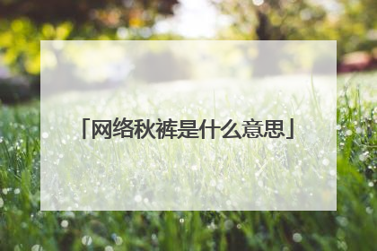 网络秋裤是什么意思