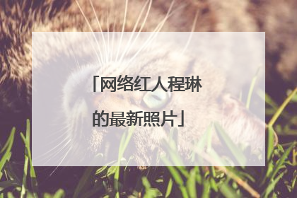 网络红人程琳的最新照片