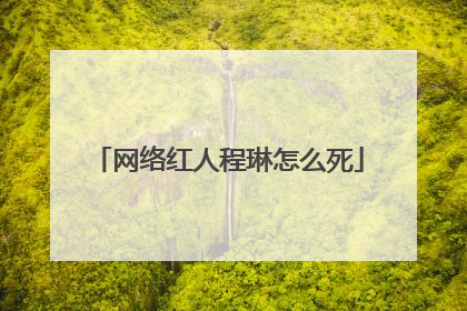 网络红人程琳怎么死