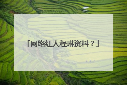 网络红人程琳资料？