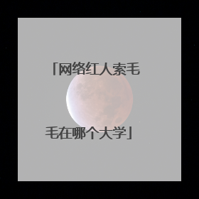 网络红人索毛毛在哪个大学