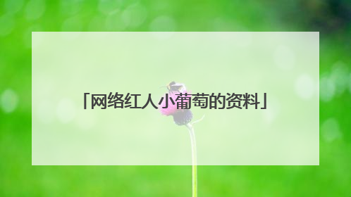 网络红人小葡萄的资料