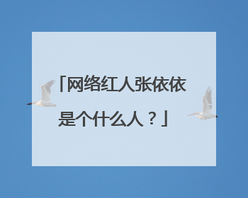 网络红人张依依是个什么人？