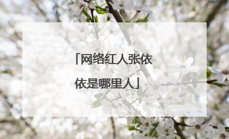 网络红人张依依是哪里人