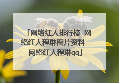 网络红人排行榜 网络红人程琳图片资料 网络红人程琳qq