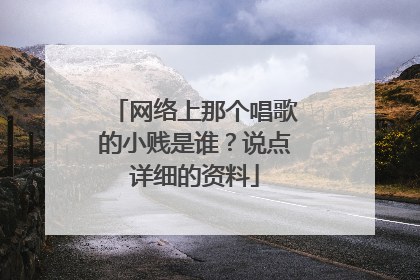 网络上那个唱歌的小贱是谁？说点详细的资料