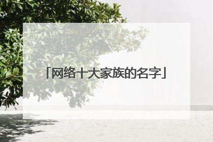 网络十大家族的名字