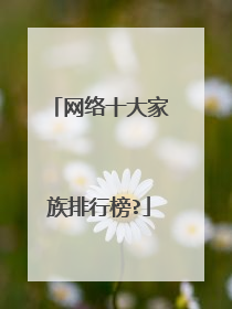 网络十大家族排行榜?