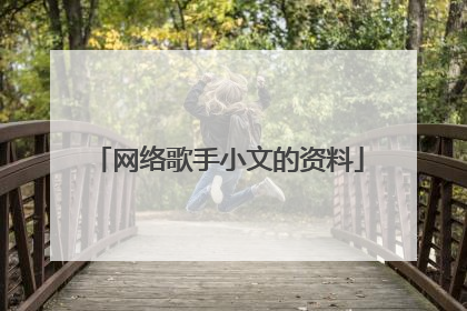 网络歌手小文的资料