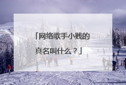 网络歌手小贱的真名叫什么?