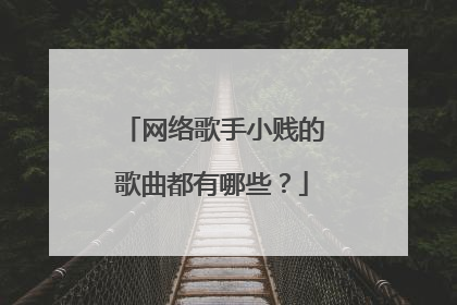 网络歌手小贱的歌曲都有哪些？