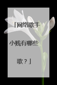 网络歌手小贱有哪些歌?