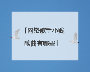 网络歌手小贱歌曲有哪些