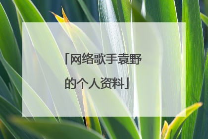 网络歌手袁野的个人资料