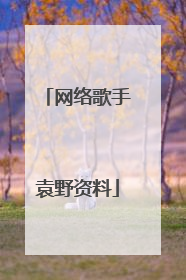 网络歌手袁野资料