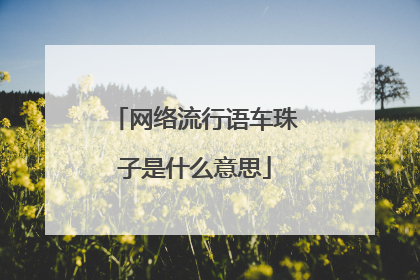 网络流行语车珠子是什么意思
