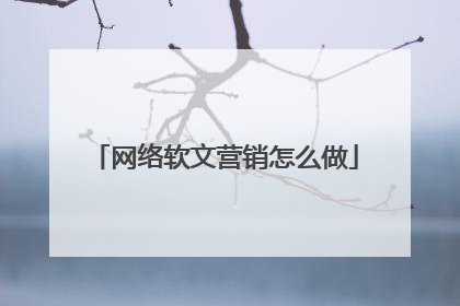 网络软文营销怎么做