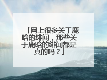 网上很多关于鹿晗的绯闻,那些关于鹿晗的绯闻都是真的吗?