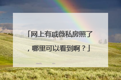 网上有戚薇私房照了,哪里可以看到啊?