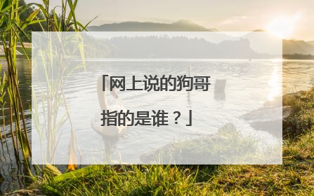 网上说的狗哥指的是谁?