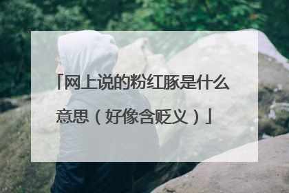 网上说的粉红豚是什么意思（好像含贬义）