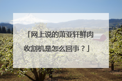 网上说的萧亚轩鲜肉收割机是怎么回事?