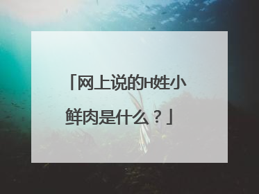 网上说的H姓小鲜肉是什么?