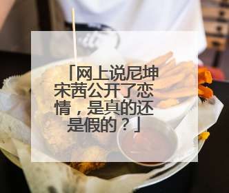 网上说尼坤宋茜公开了恋情,是真的还是假的?