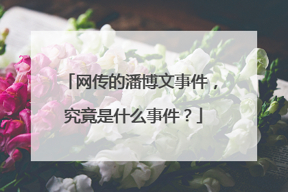 网传的潘博文事件,究竟是什么事件?