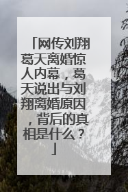 网传刘翔葛天离婚惊人内幕,葛天说出与刘翔离婚原因,背后的真相是什么?