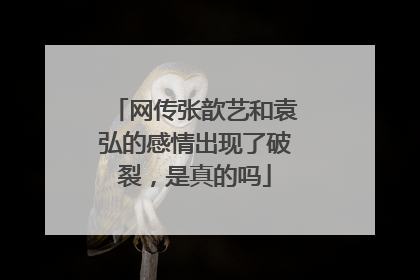 网传张歆艺和袁弘的感情出现了破裂,是真的吗