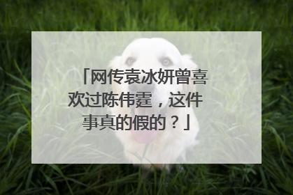 网传袁冰妍曾喜欢过陈伟霆，这件事真的假的？