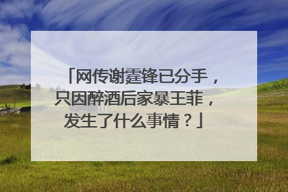 网传谢霆锋已分手,只因醉酒后家暴王菲,发生了什么事情?