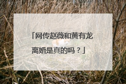 网传赵薇和黄有龙离婚是真的吗？
