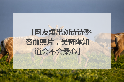 网友爆出刘诗诗整容前照片,吴奇隆知道会不会桑心