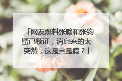 网友爆料张翰和张钧蜜已领证,消息来的太突然,这是真是假?
