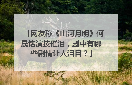 网友称《山河月明》何晟铭演技催泪，剧中有哪些剧情让人泪目？