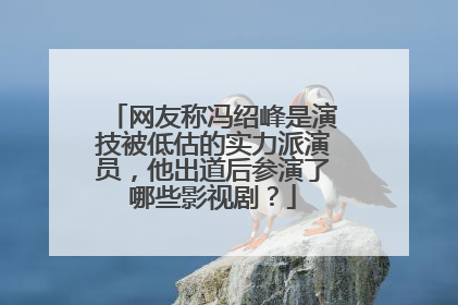 网友称冯绍峰是演技被低估的实力派演员，他出道后参演了哪些影视剧？
