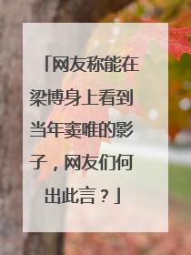 网友称能在梁博身上看到当年窦唯的影子，网友们何出此言？