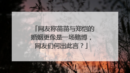 网友称苗苗与郑恺的婚姻更像是一场赌博，网友们何出此言？
