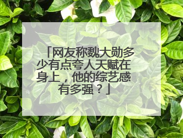 网友称魏大勋多少有点夸人天赋在身上,他的综艺感有多强?