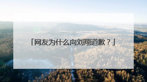 网友为什么向刘翔道歉？