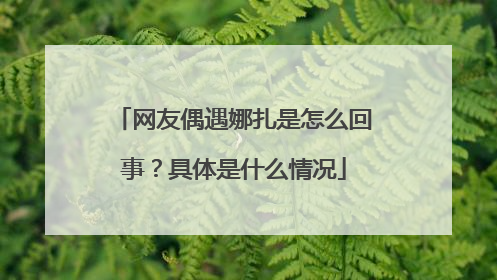 网友偶遇娜扎是怎么回事？具体是什么情况